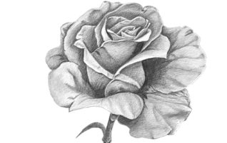 Poema: “Eres como una flor”